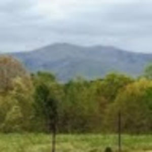 Meet your Posher, Myra